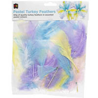 educational colours turkey feathers 60g pastel assorted