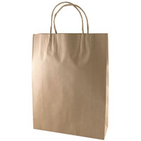 capri kraft paper carry bag b1 twist handle small brown pack 250