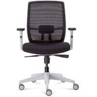 rapidline luminous executive chair high mesh back arms black/white