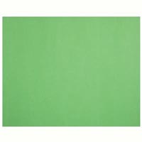 quill xl multiboard 210gsm 510 x 635mm lime
